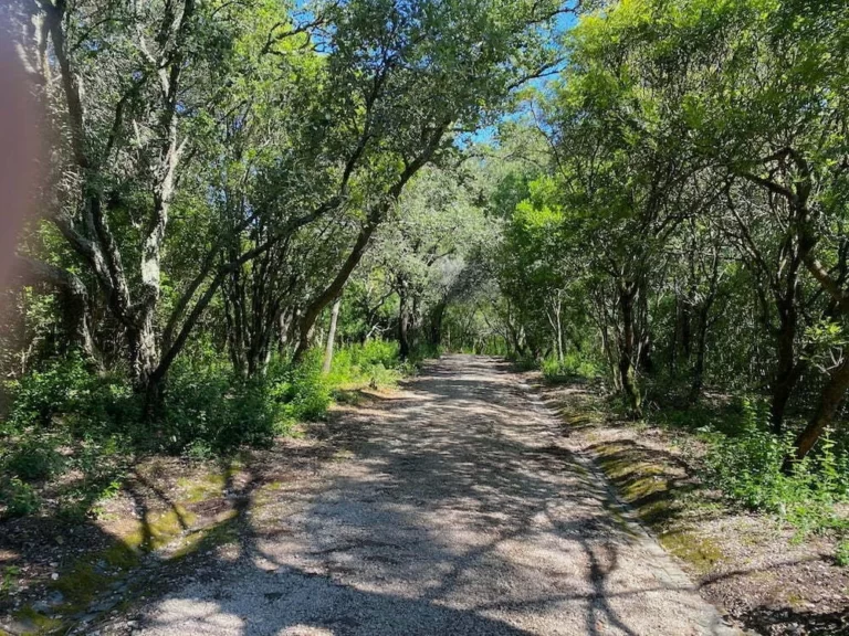 Weg in Monsanto Park. Ab-in-die-Natur